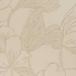 Helleborus