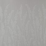 Feather Grass