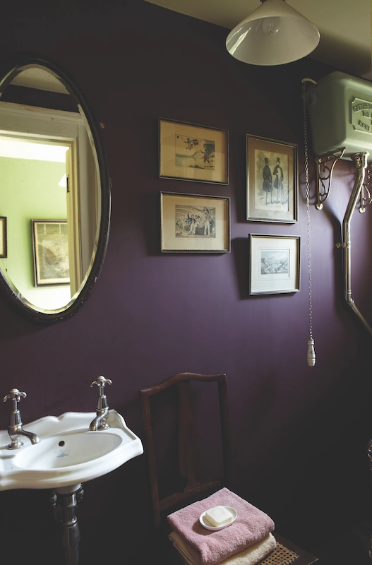 Brinjal No.222 Farrow & Ball 1