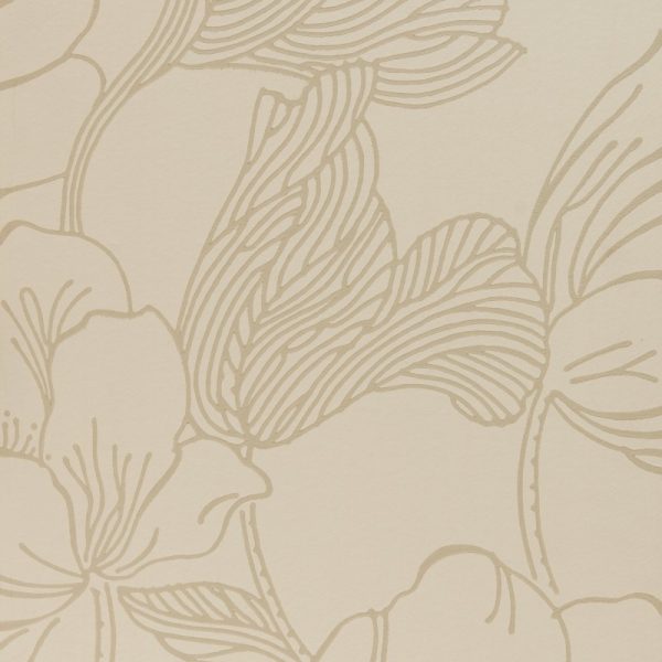 Helleborus