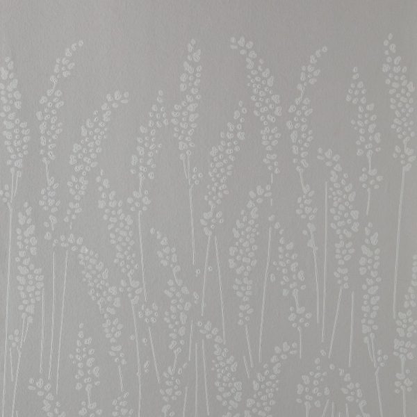 Feather Grass