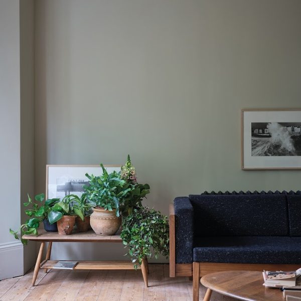 Ash Gray No.W9 farrow and ball