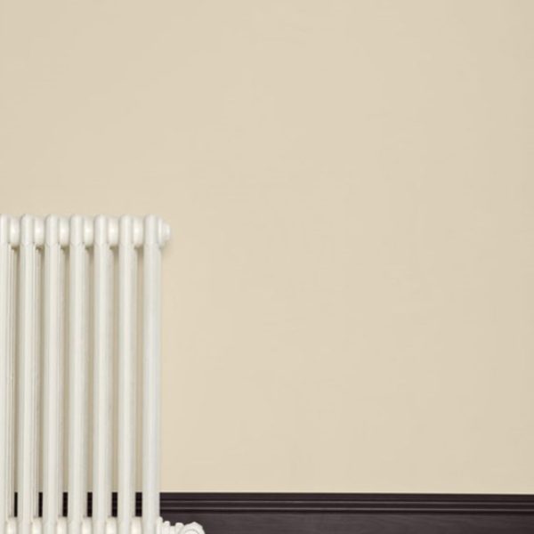 Ringwold Ground No.208 farrow and ball