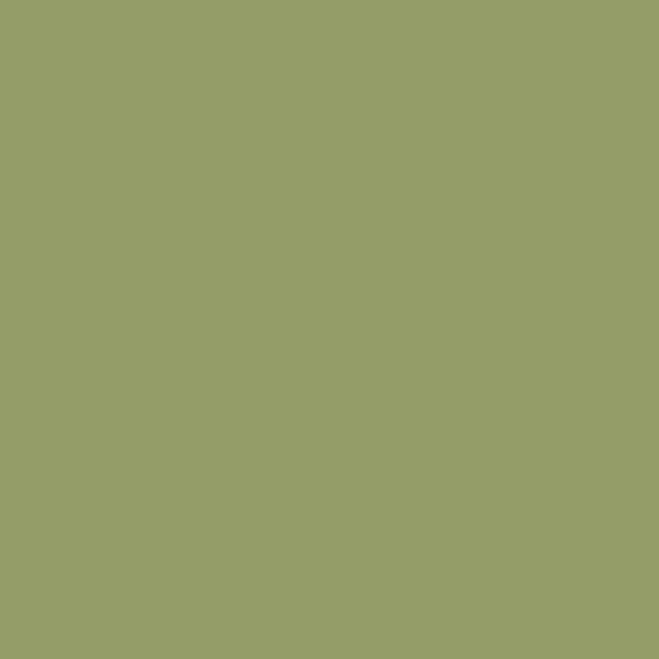 Olive-no13