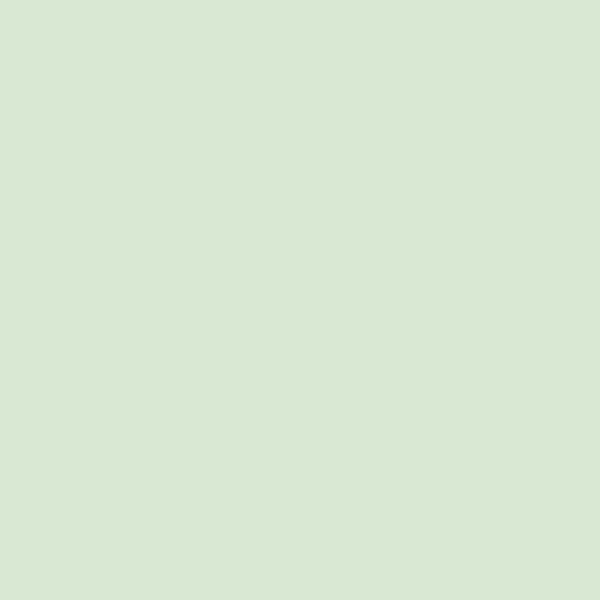 Pale Powder 204