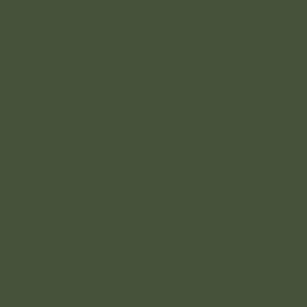 Reduced Green 313