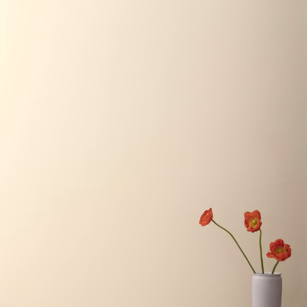 Gentle Cream OC-96 Blanco Benjamin Moore